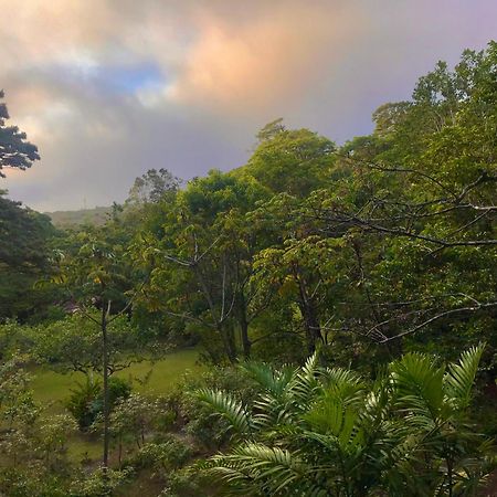 Yerbabuena Lodge Monteverde Zewnętrze zdjęcie