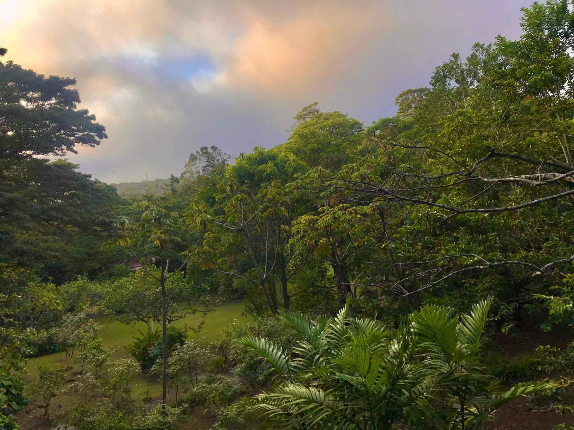 Yerbabuena Lodge Monteverde Zewnętrze zdjęcie
